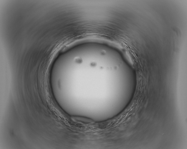 X0000112050289200908111356