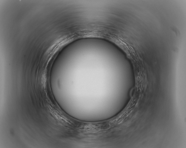 X0000112050290200908111356