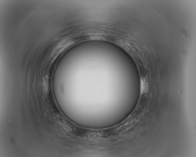 X0000112050291200908111356