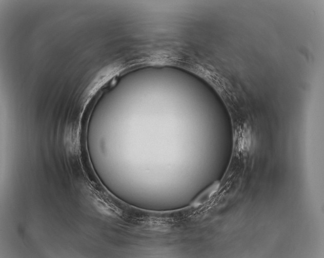 X0000112050292200908111356