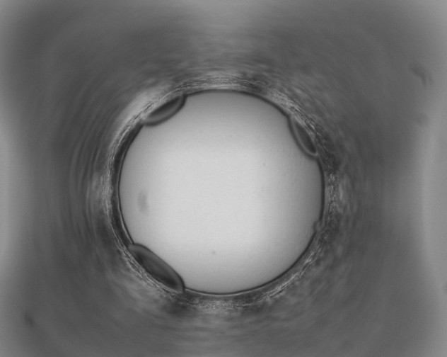 X0000112050293200908111356