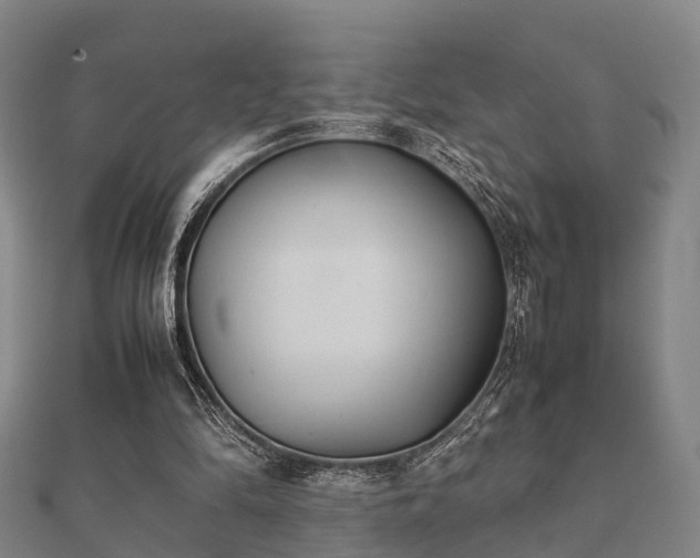 X0000112050294200908111356