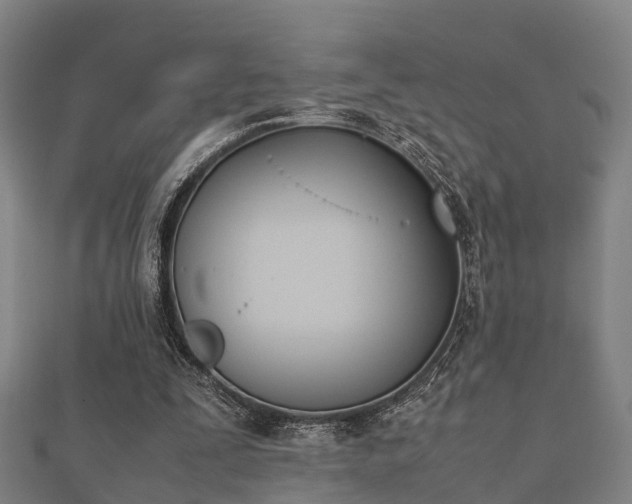 X0000112050295200908111356