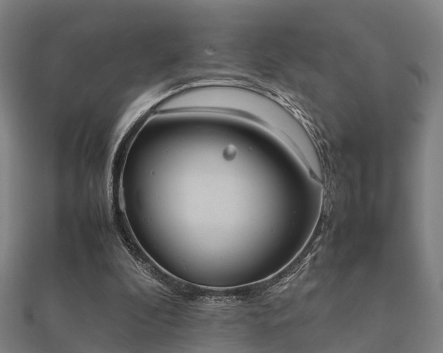 X0000112050296200908111356