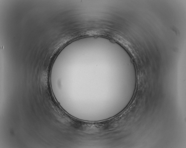 X0000112050297200908111356