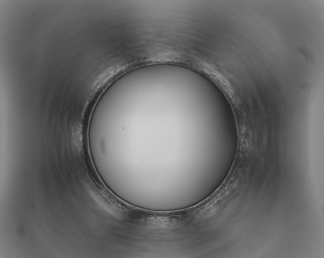 X0000112050298200908111356