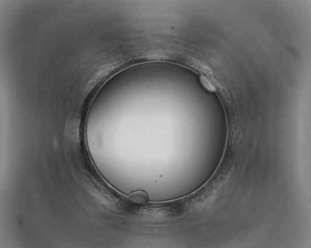 X0000112050299200908111356