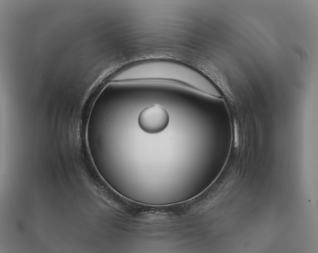 X0000112050300200908111356