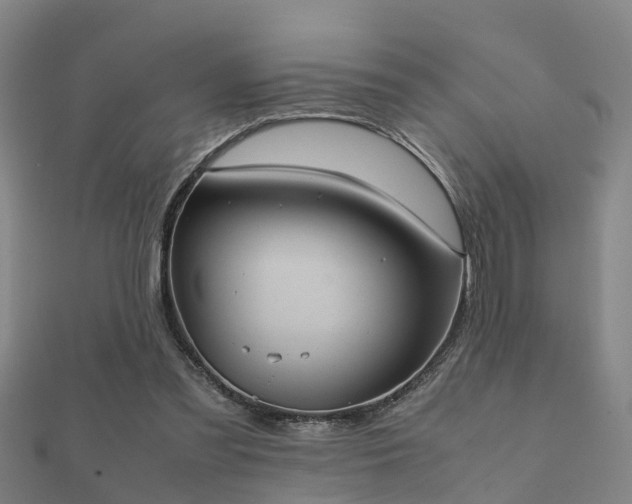 X0000112050301200908111356