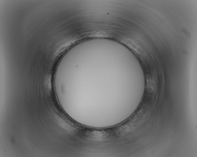 X0000112050302200908111356