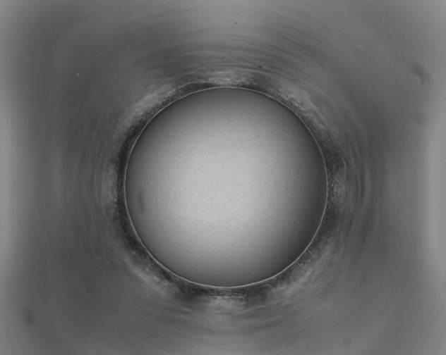 X0000112050303200908111356