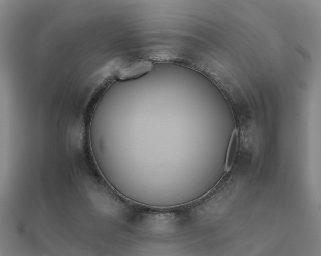 X0000112050304200908111356