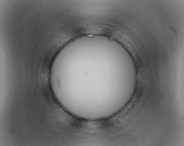 X0000112050305200908111356