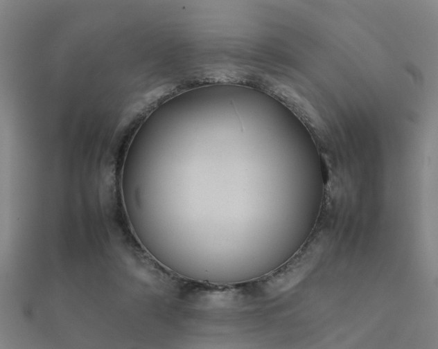 X0000112050306200908111356