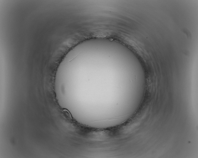 X0000112050307200908111356