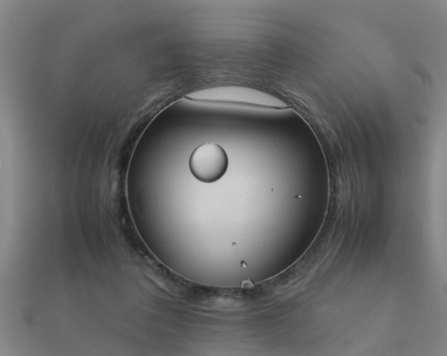 X0000112050308200908111356