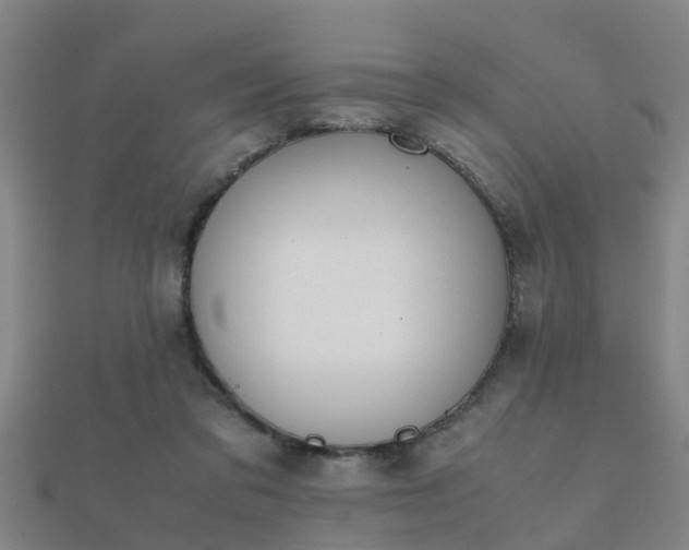 X0000112050309200908111356