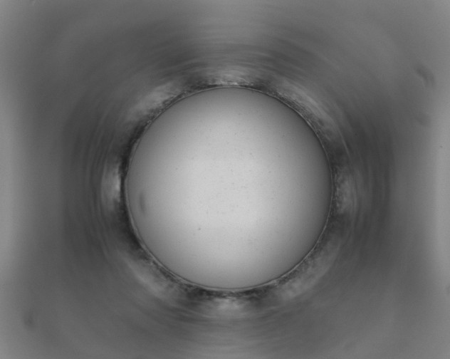 X0000112050310200908111356