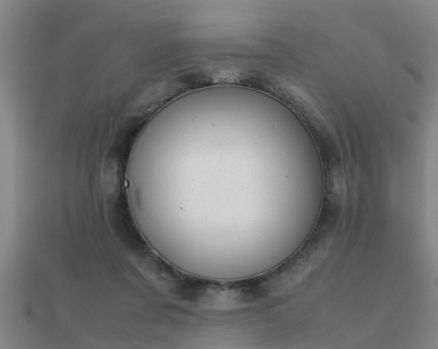 X0000112050311200908111356