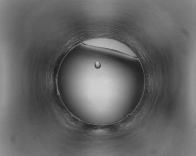 X0000112050312200908111356