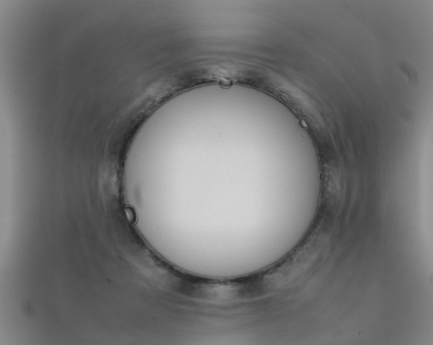 X0000112050313200908111356