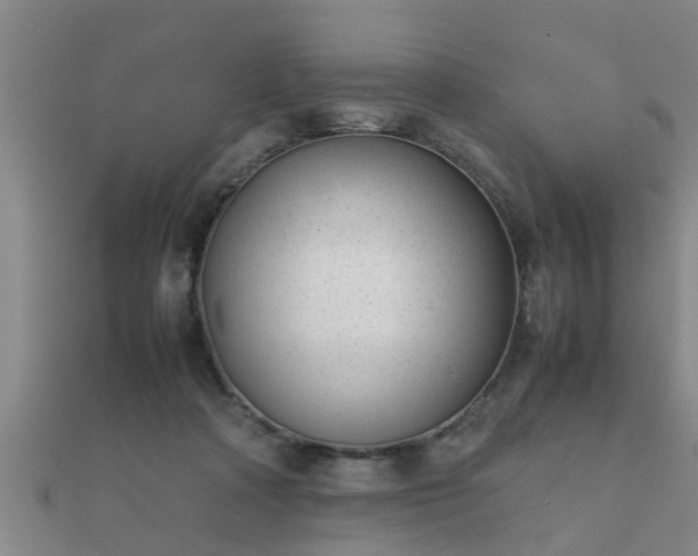 X0000112050314200908111356