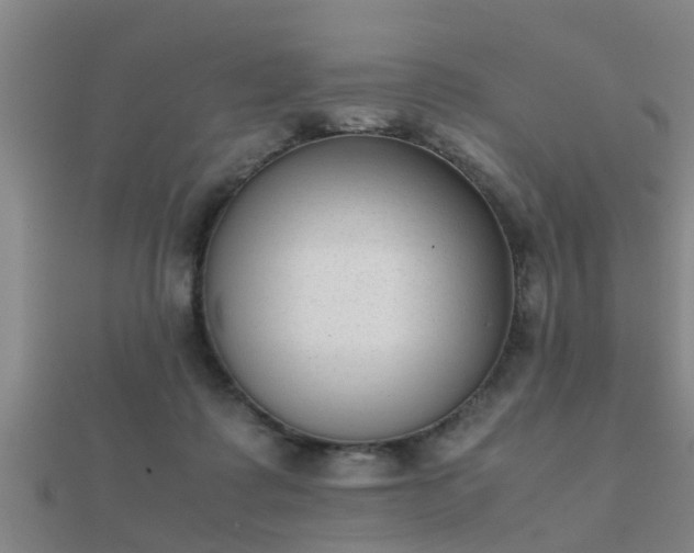 X0000112050315200908111356