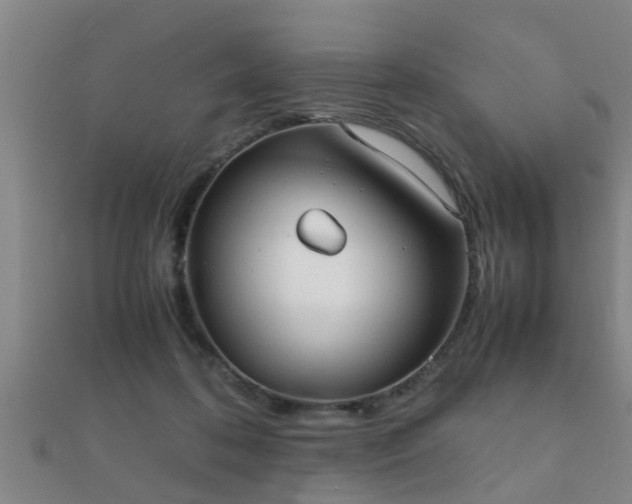 X0000112050316200908111356