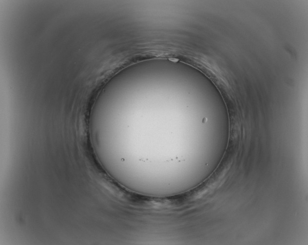 X0000112050317200908111356