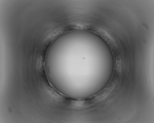 X0000112050318200908111356