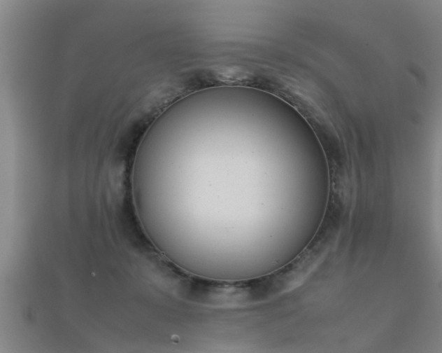 X0000112050319200908111356