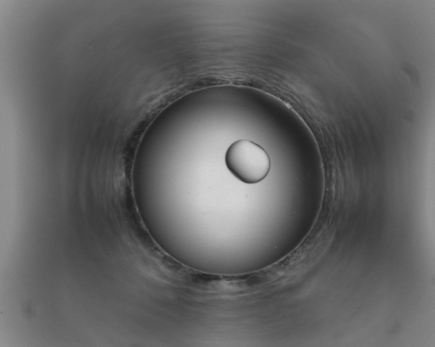 X0000112050320200908111356