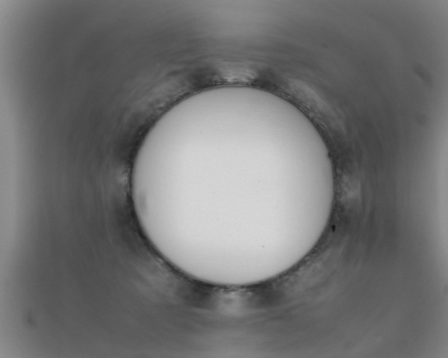 X0000112050321200908111356