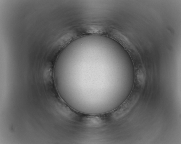 X0000112050322200908111356