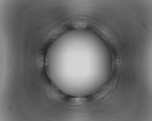 X0000112050323200908111356