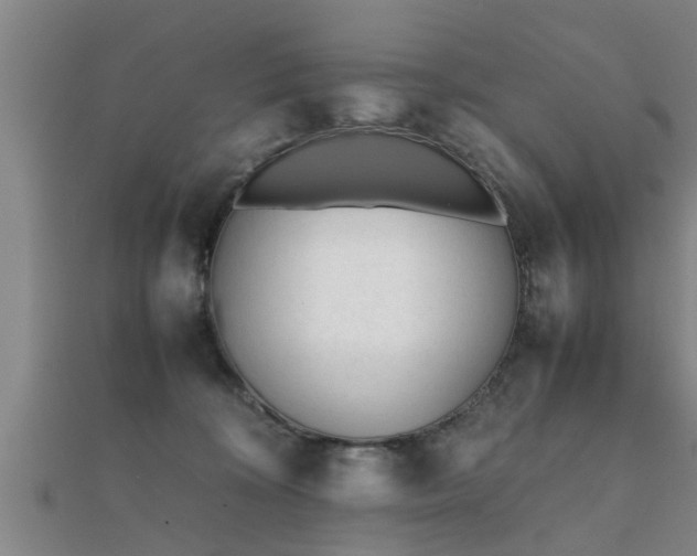 X0000112050324200908111356