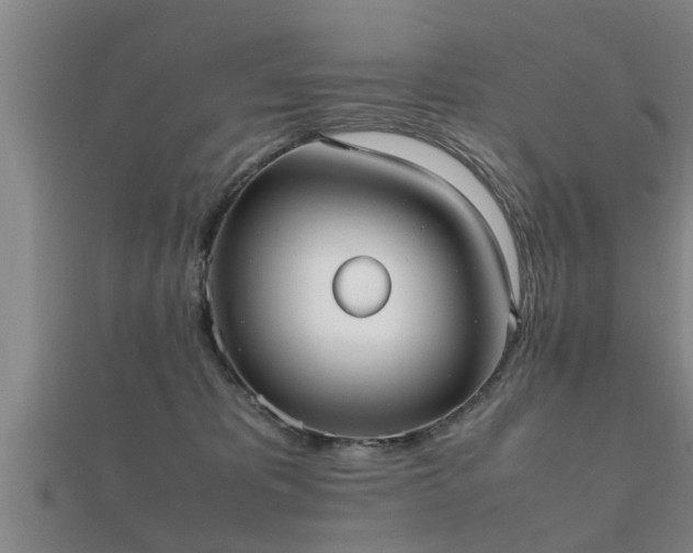 X0000112050325200908111356