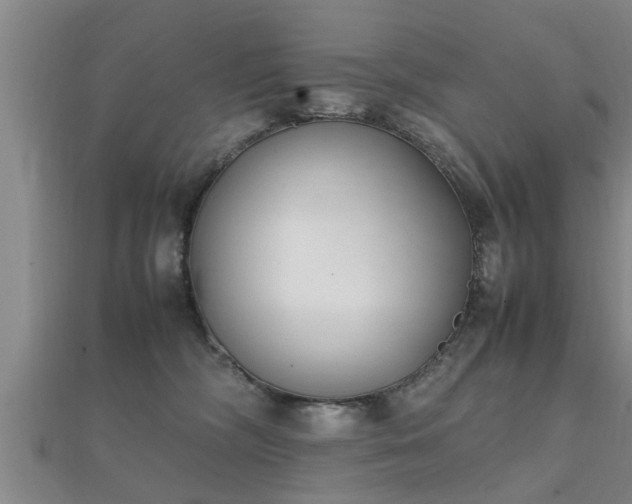 X0000112050326200908111356