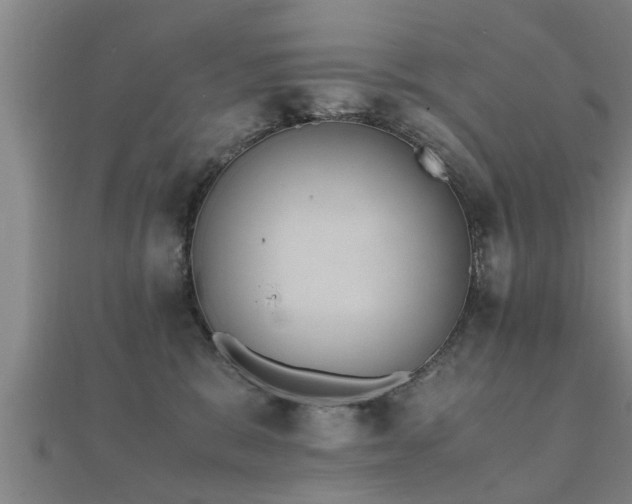 X0000112050327200908111356