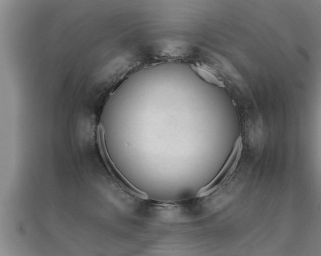 X0000112050328200908111356