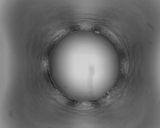 X0000112050329200908111356