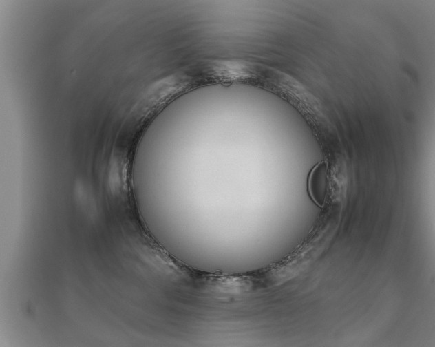 X0000112050330200908111356