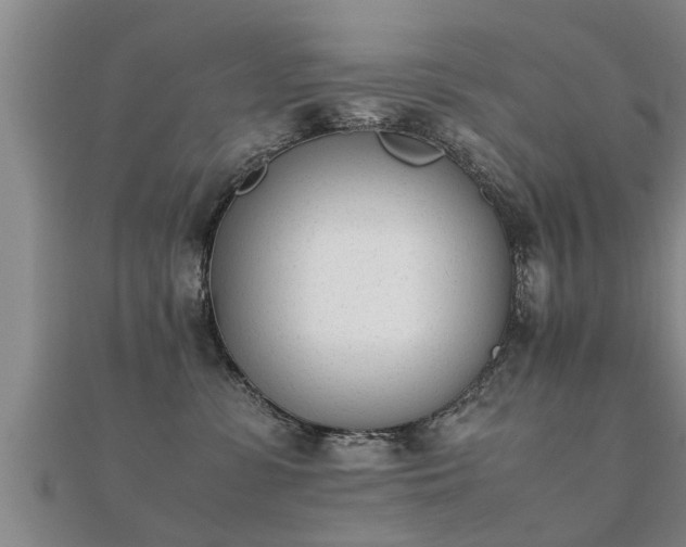 X0000112050331200908111356