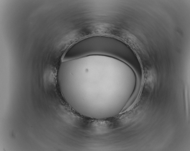 X0000112050332200908111356