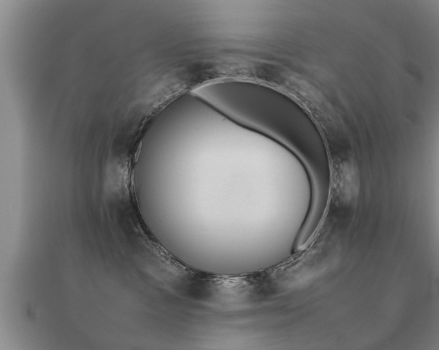 X0000112050333200908111356