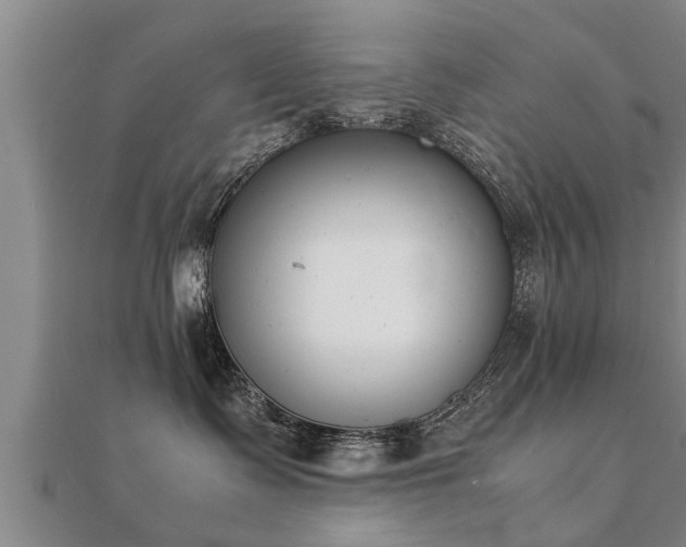 X0000112050335200908111356