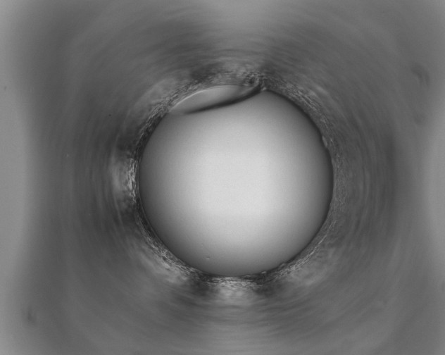 X0000112050336200908111356