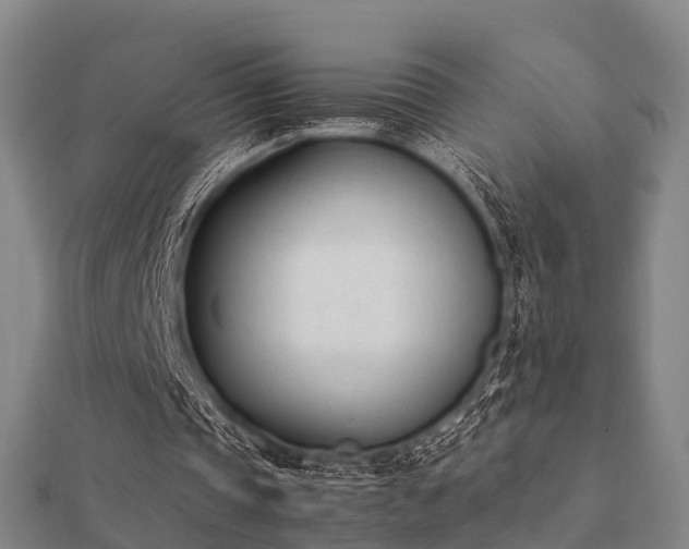 X0000112050337200908111355