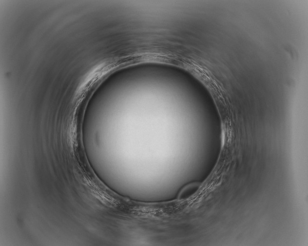 X0000112050339200908111355