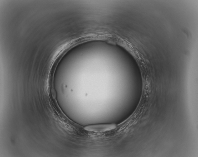 X0000112050340200908111355